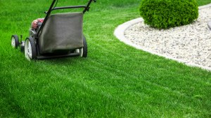 Best-lawn-care-companies-near-me-in-Southampton-for-healthy-lawns