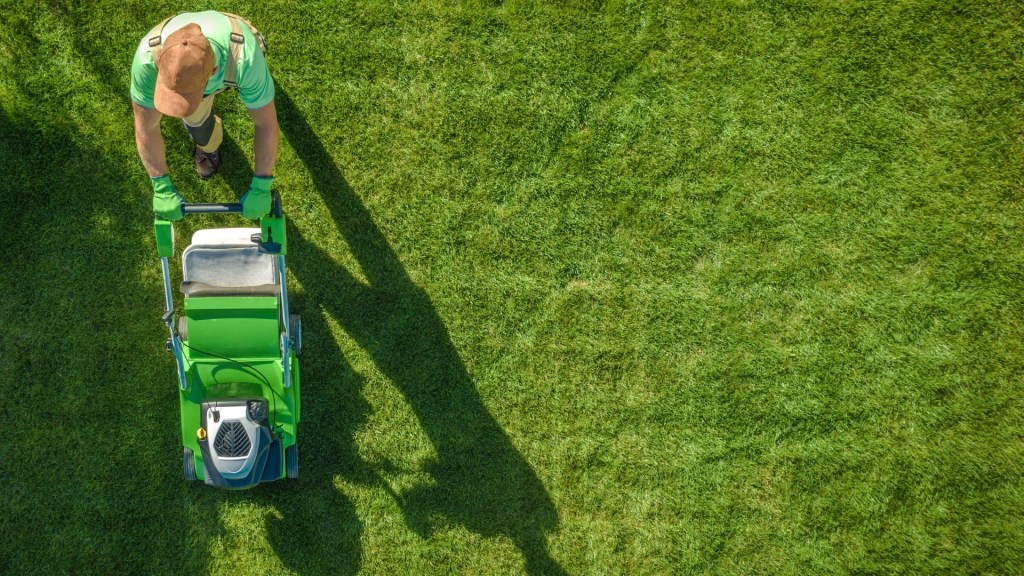 KNK-Lawn-Care-A-reliable-option-when-searching-for-lawn-care-companies-near-me-
