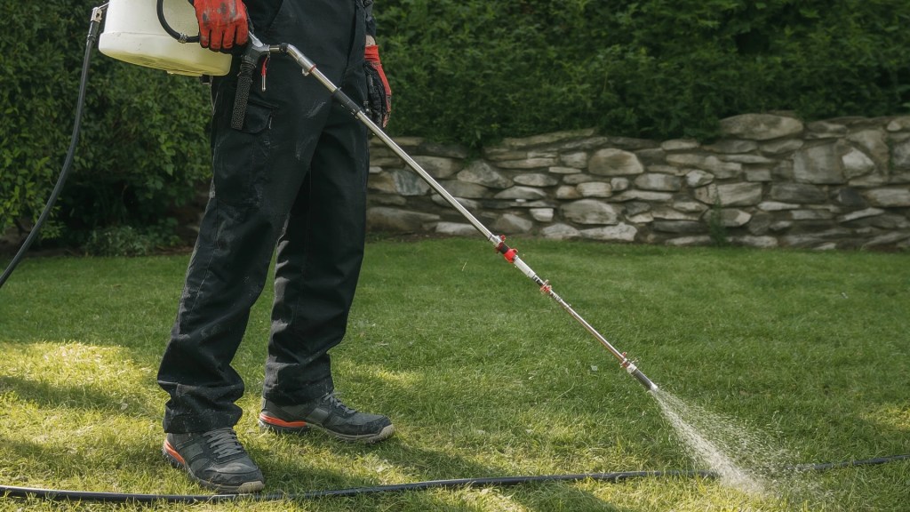 Searching-for-weed-control-companies-near-me-KNK-Lawn-Care-can-help