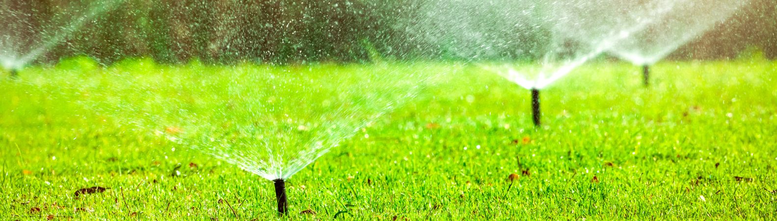 Residential irrigation system watering a healthy green lawn